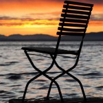 Le Jardin en Ville - Expo AGORALUX