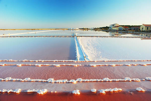 Le Jardin en Ville - Salin Gruissan