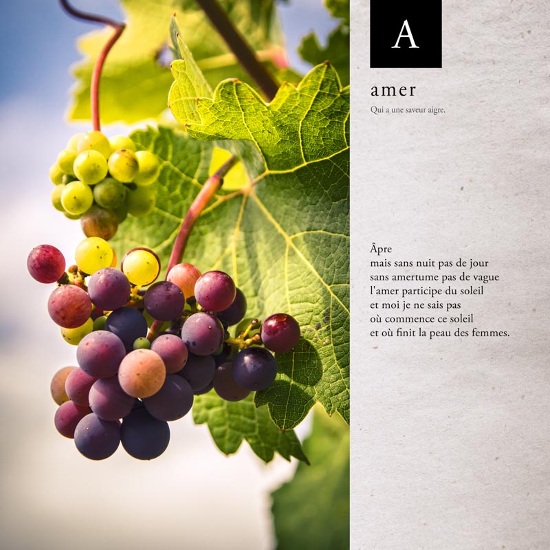 Le Jardin en Ville - Expo abécédaire du vigneron - lettre A