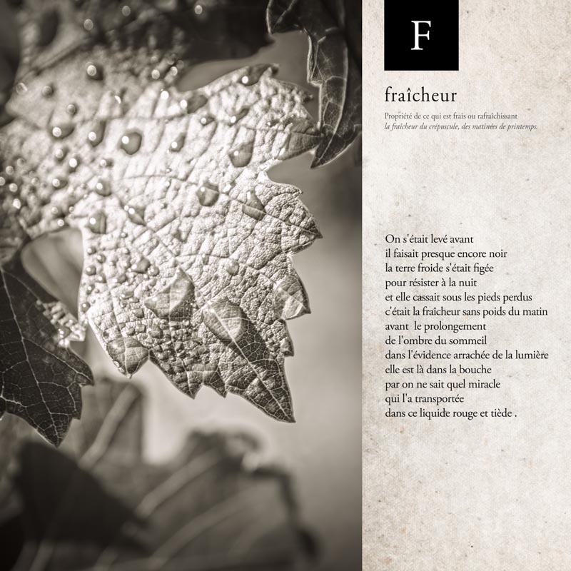 Le Jardin en Ville - Expo abécédaire du vigneron - lettre F